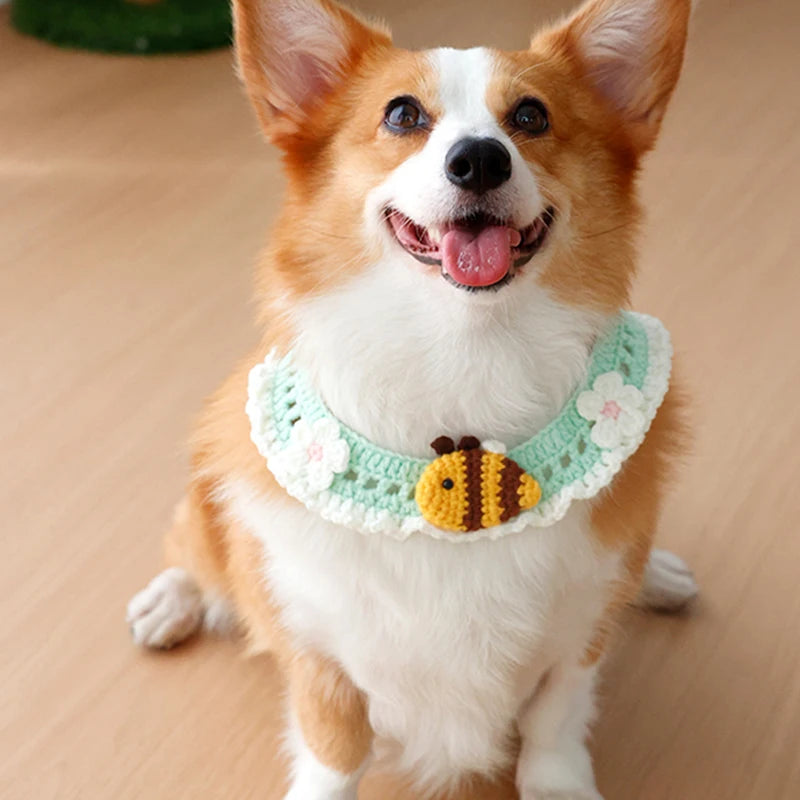 S6226d68cc16f4d9ba8058990c6bf579cR